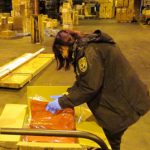 Garment_inspection