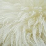 wing-white-fur-fluffy-sheep-mane-571828-pxhere.com