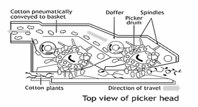 Diagram of a spindle picker head seen from above, with spindles, picker drums, doffers and the air duct carrying cotton to the basket