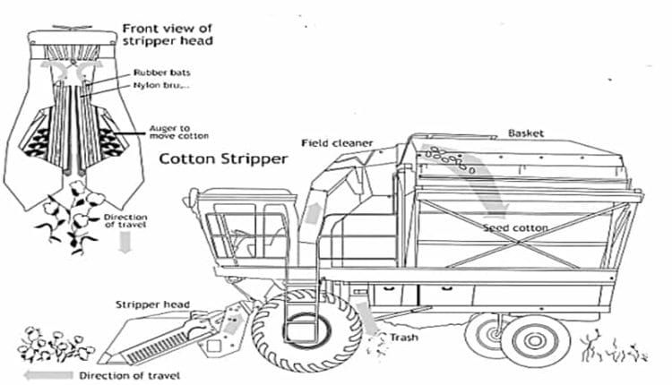 Diagram of a cotton stripper with its stripper head, augers, field cleaner and basket
