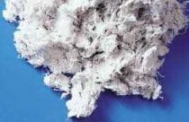 A tuft of raw asbestos fibre