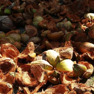 coconut fiber