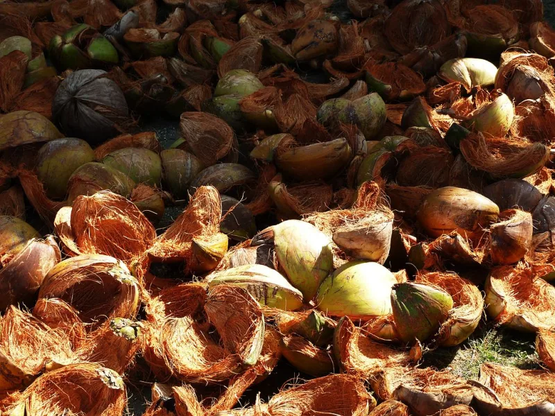 coconut fiber
