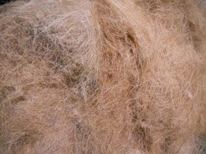 coconut fiber