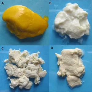 regenerated protein fibers
