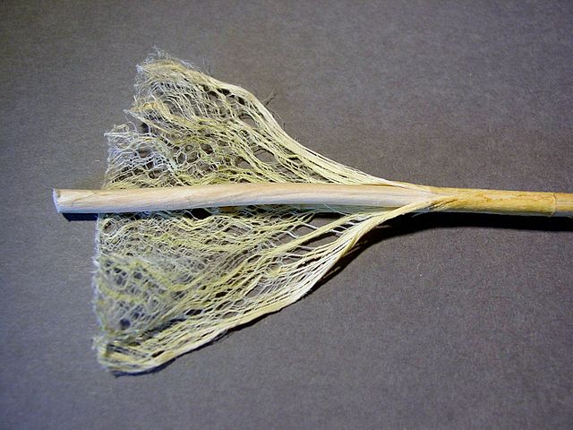 hemp fiber