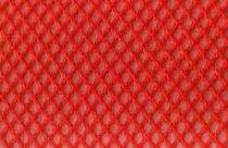 warp-knit