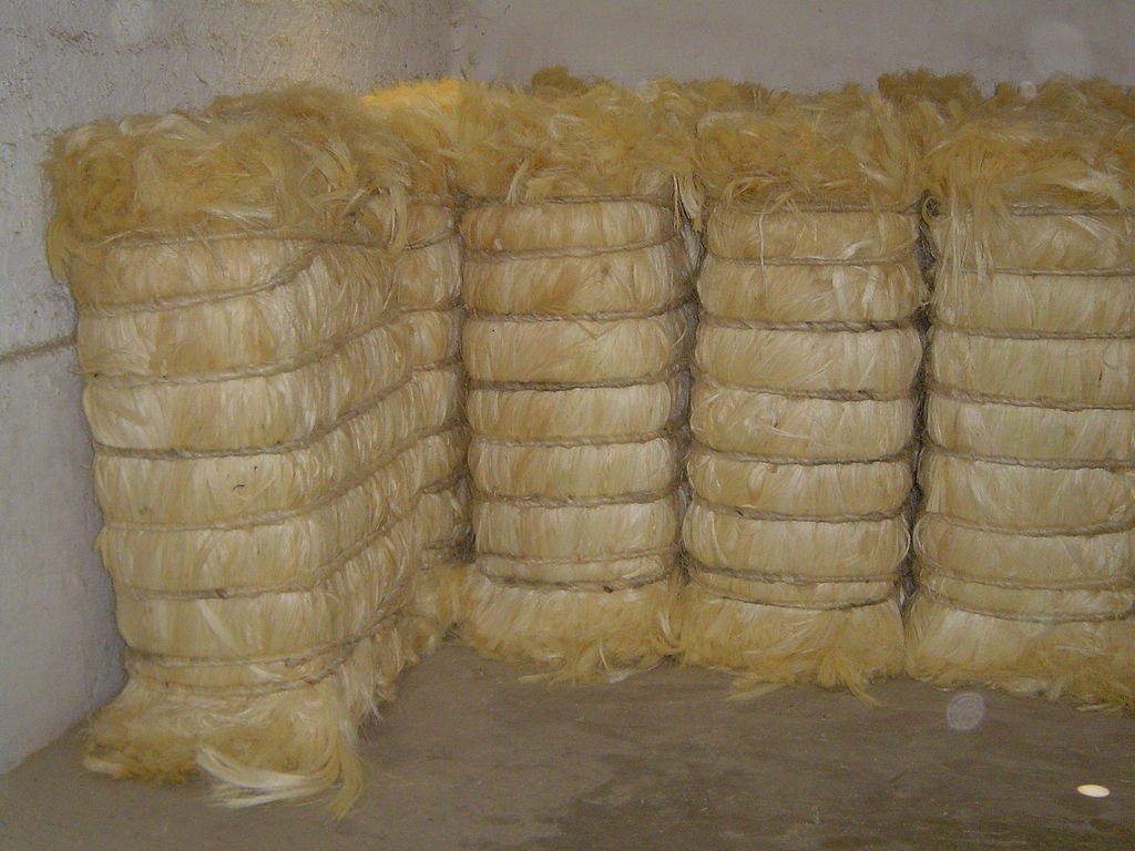 Stacked bales of pale golden, long hard fibre in a whitewashed storeroom