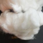 cotton fiber