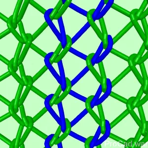 warp knitting