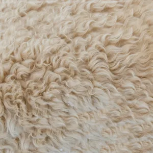 wool grading