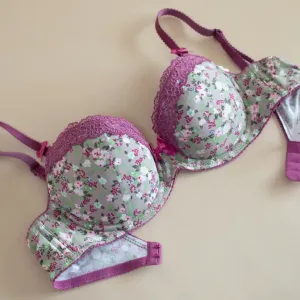 The Comprehensive History of Brassieres