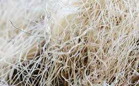 corn-fiber