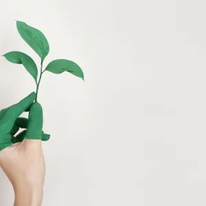 eco textiles