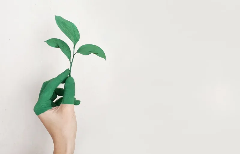 eco textiles