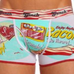 men's underwear briefs