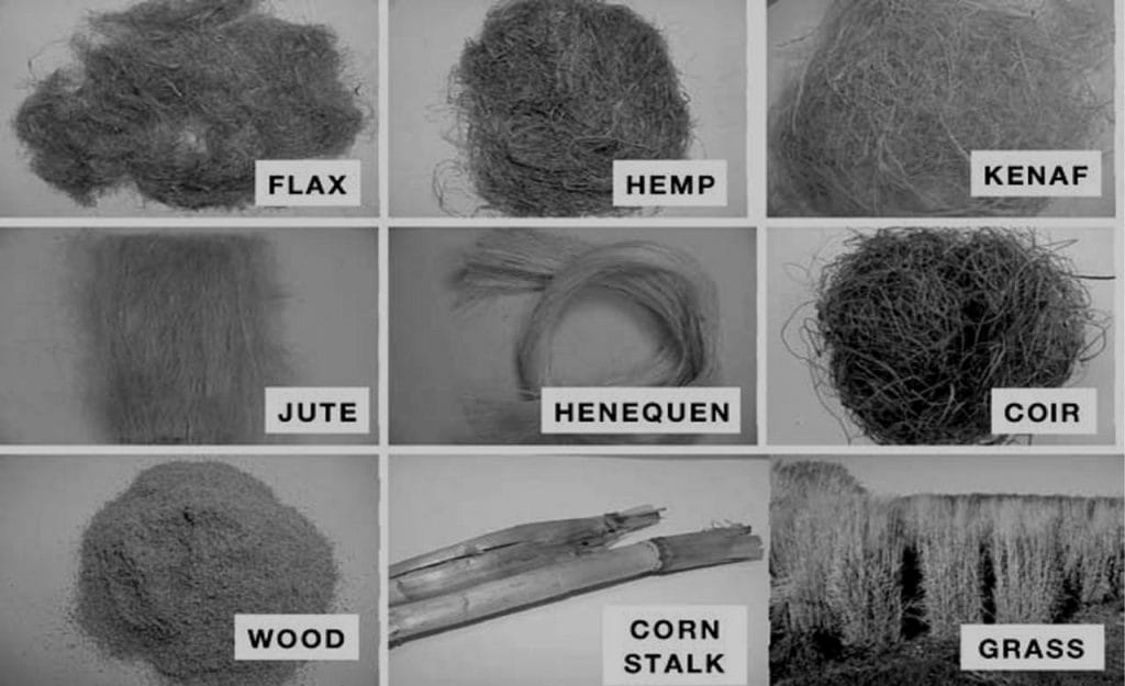 Natural / bio-fibers used for reinforcing