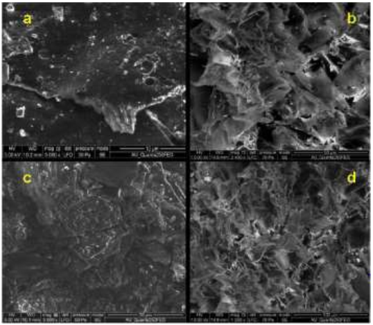 Fig. 3 SEM image of rGO