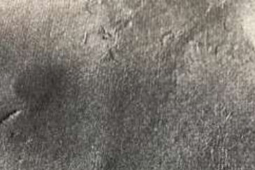 Fig. 8b untreated samples