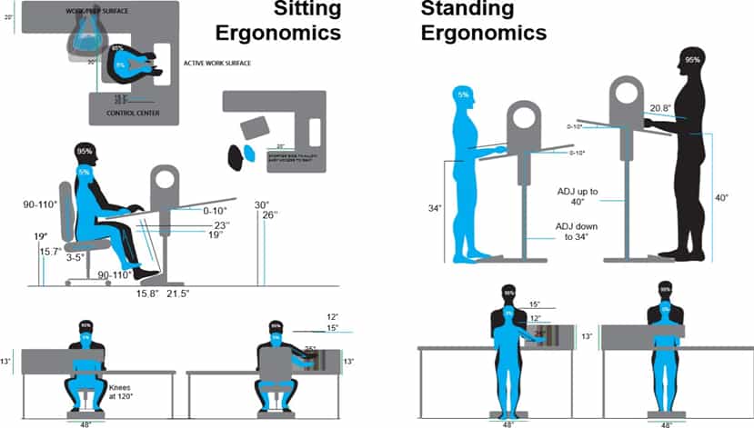 sitting and standing ergonomics
