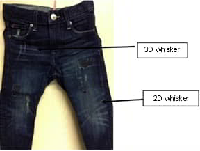 Figure 1.15 Two and three dimensional whisker effects.