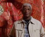 Textile Artist - El Anatsui