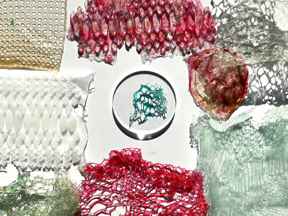 biometerials for textiles