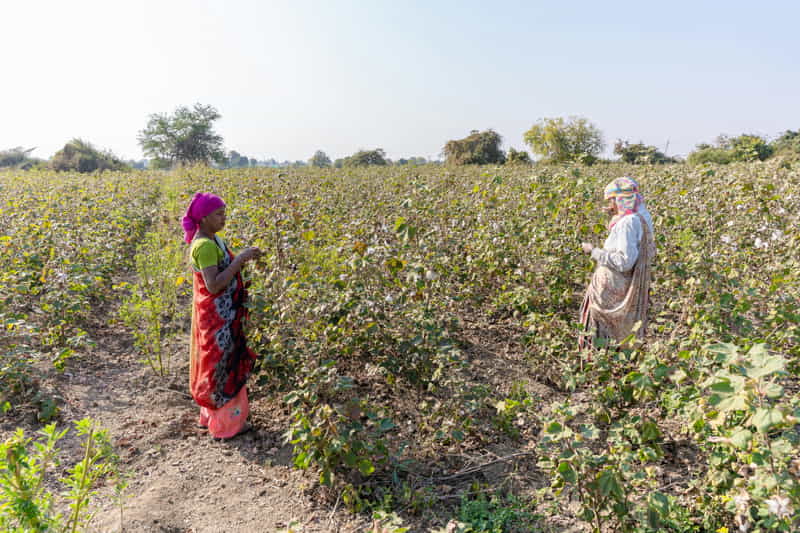 community-farmers-working-together