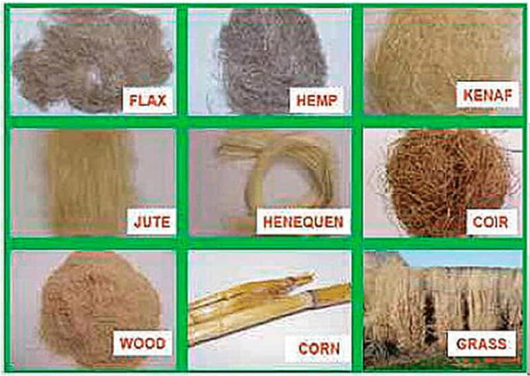 Bast Fibers: Hemp, Ramie, and Jute Properties - Textile School