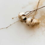 cotton fiber-1