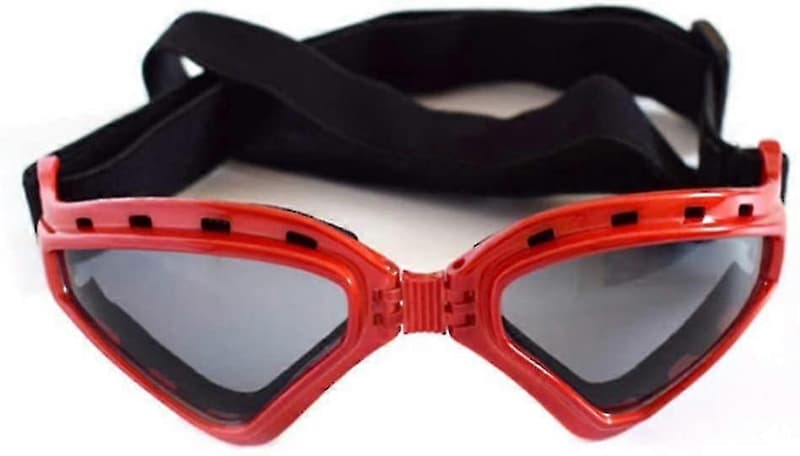 dog goggles with PET