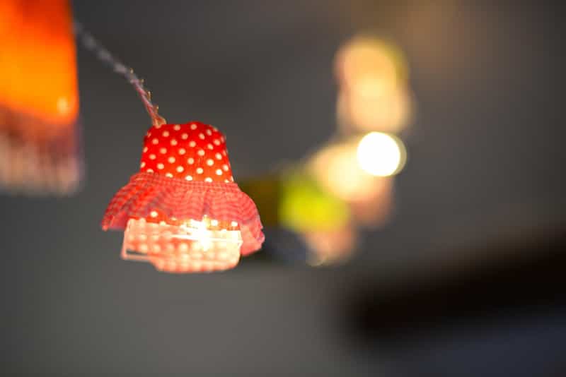 lampshade