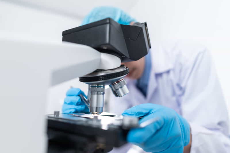 microscope