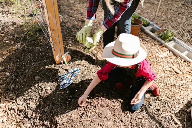 organic soil preparation