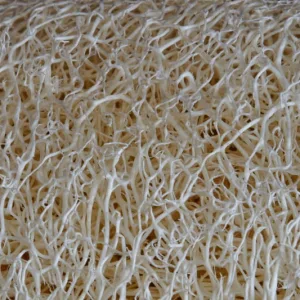 Biodegradable Textiles from Algae