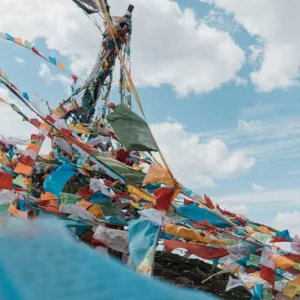 Sustainable Textile Production