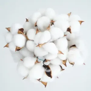 Best Cotton Varieties for Industrial Applications