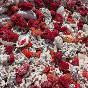 Textile Waste-to-Energy Solutions: Powering a Sustainable Future