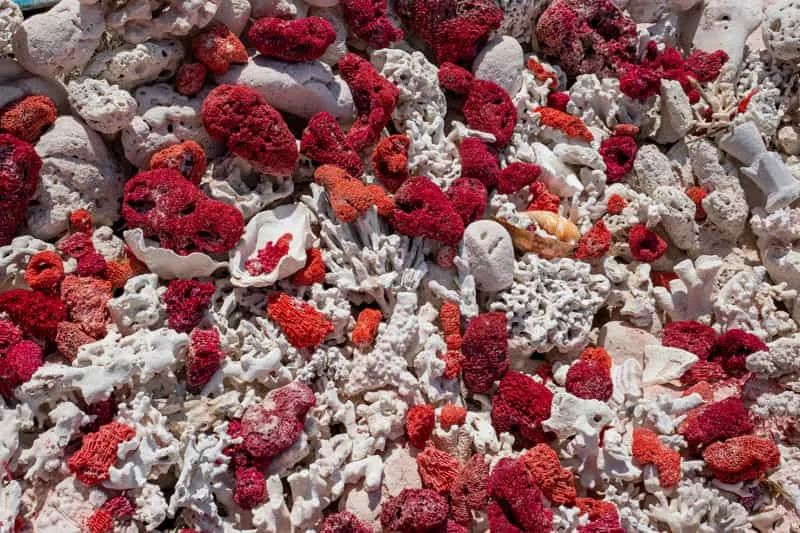 Textile Waste-to-Energy Solutions: Powering a Sustainable Future