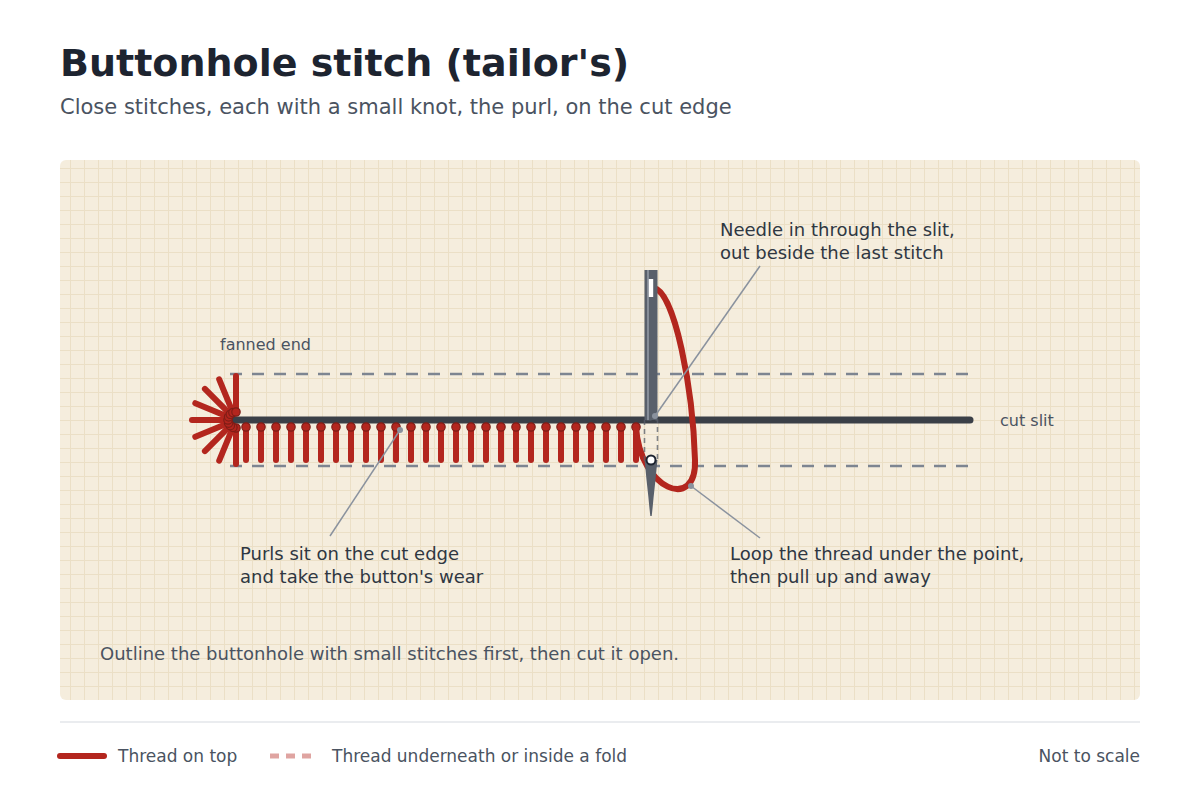 Diagram of the tailor's buttonhole stitch: close stitches along a cut slit, each with a small knot, the purl, on the edge; a fanned end; and the thread looped under the needle point