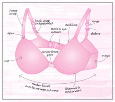 The Bra Deconstructed