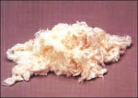 Bamboo Viscose Fiber
