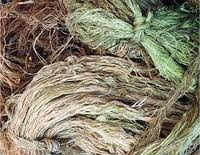 Ramie Fiber