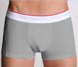 Trunk Brief