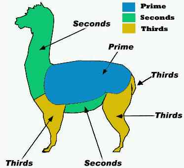 alpaca fiber grades
