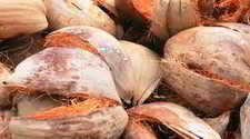coir husk