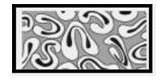 Cotton Cross sectionl