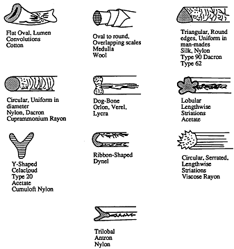 Examples of Fiber Shapes