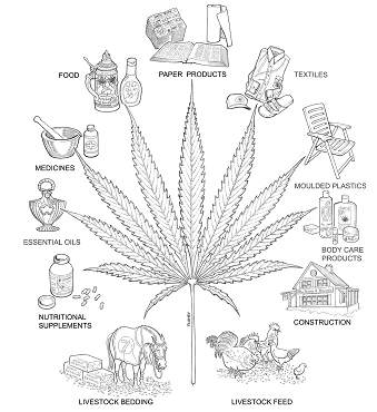 Hemp product usages