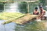 bast fiber water retting